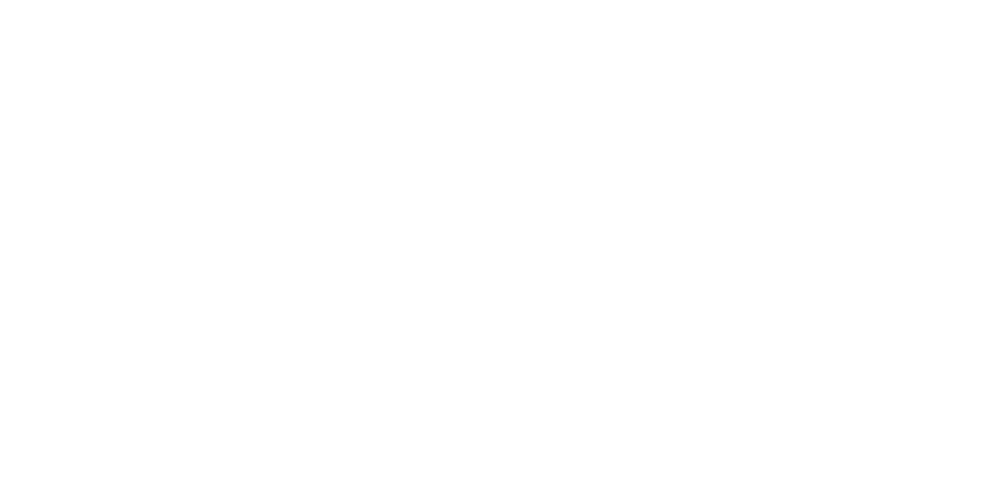 Zolo
